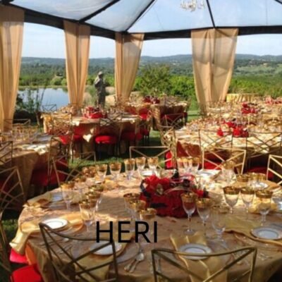 Wedding gold chameleon chair - Image 7